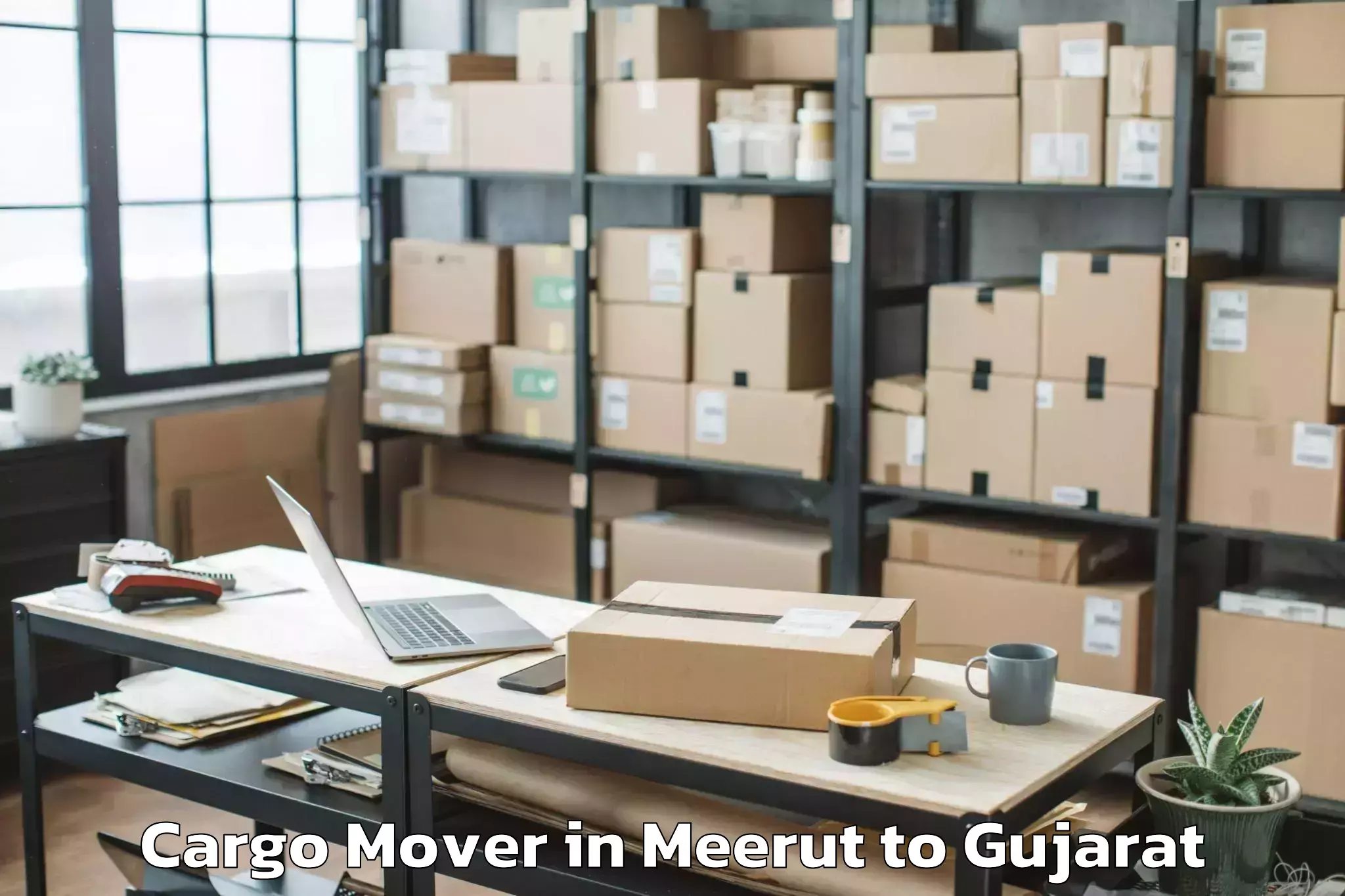 Leading Meerut to Waghodia Cargo Mover Provider